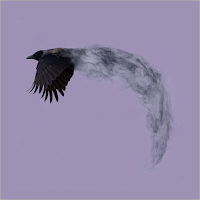 Flying Crow Yoga Studio