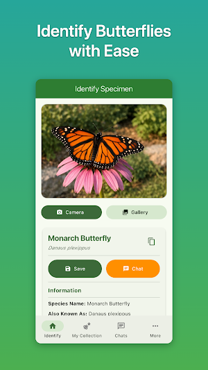 Caterpillar & Butterfly ID Screenshot 0