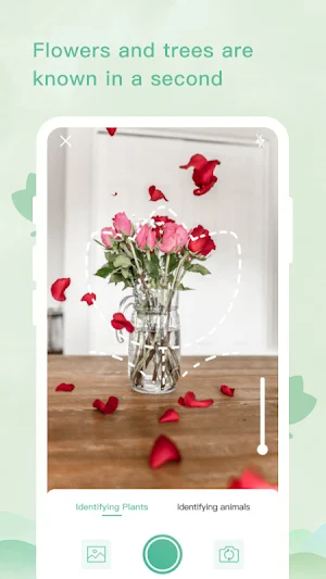 Plant Identification Screenshot 2