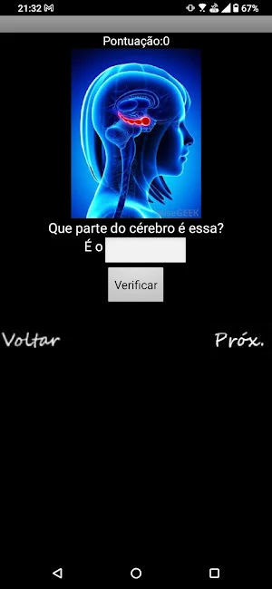 NeuroQuiz do GTED UFFS Screenshot 3