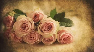 Vintage Wallpapers Screenshot 1
