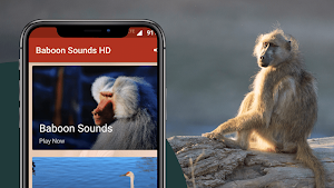Baboon Sounds Screenshot 1