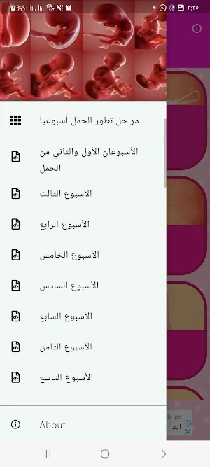 Stages of pregnancy Screenshot 1