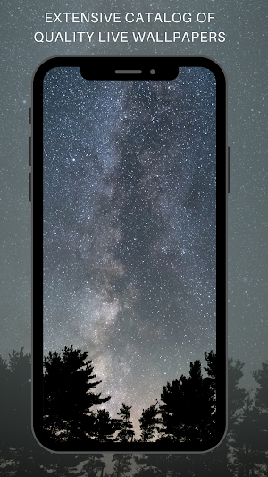 Minimal Wallpapers 2021 Screenshot 1