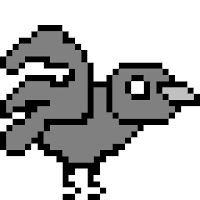 A Crows Life