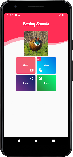 Pheasant Sounds Screenshot 0