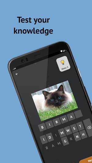 Cat Breeds: Quiz Screenshot 0