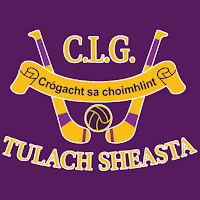 Newport GAA