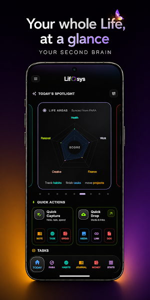 Lifosys Screenshot 0