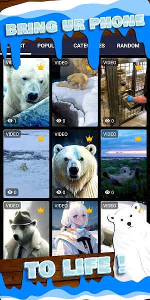 polar bear wallpaper Screenshot 1