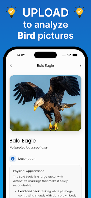 Bird Cam: Bird Identifier AI Screenshot 1