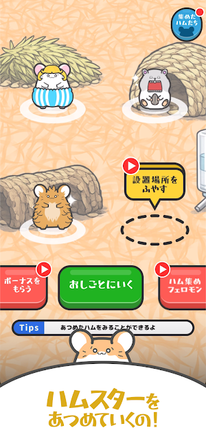 ハムあつめ - 癒し系放置ポイ活 ゲーム Screenshot 1