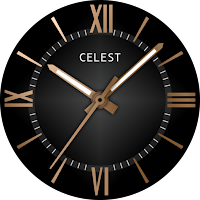 CELEST5413 Analog Watch