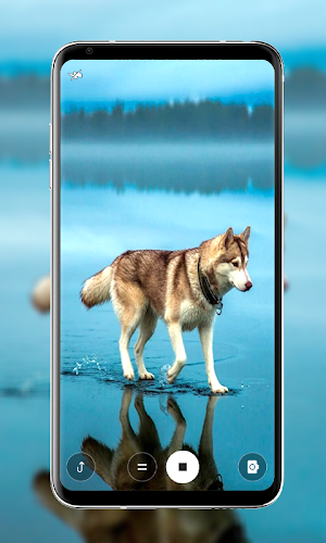 Dog Wallpapers Screenshot 1