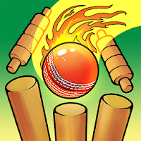 Cricket Bowling