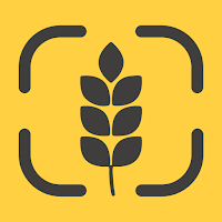 Gluten Scanner: GF Foods