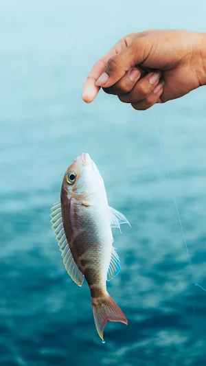 Fishing Wallpaper Screenshot 3