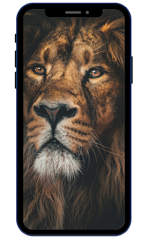 Lion Wallpapers Screenshot 3