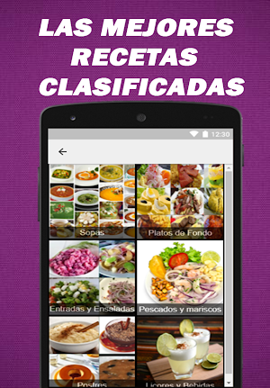 Recetas peruanas Screenshot 2