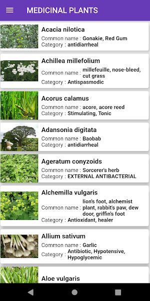 Medicinal plants: herbs, bark, spices Screenshot 1