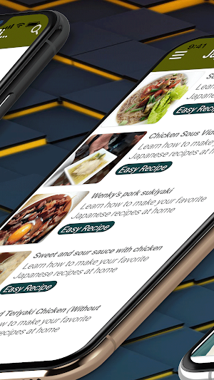 Japanese Recipes Offline Screenshot 2