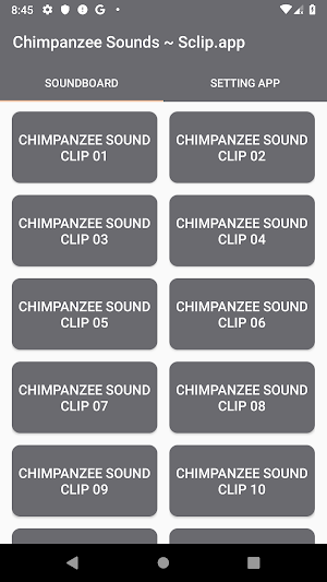 Chimpanzee Sound Collections ~ Sclip.app Screenshot 0