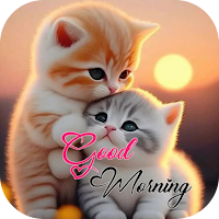 good morning cat