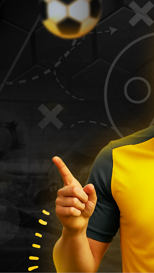 Bwin Driving School Screenshot 2