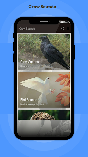Crow Sounds Screenshot 0