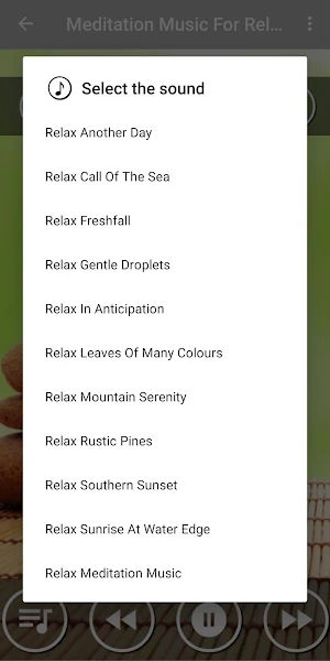Beautiful Relaxing Music for Stress Relief Screenshot 1