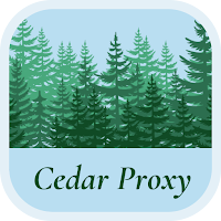 Cedar Proxy - Stable VPN