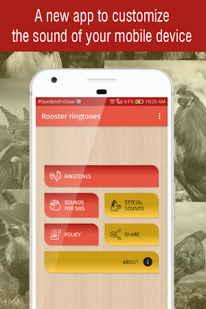 rooster ringtones for phone, rooster sounds app Screenshot 0