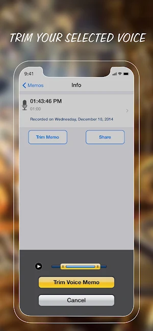 Voice Memos - Voice Recorder Screenshot 3