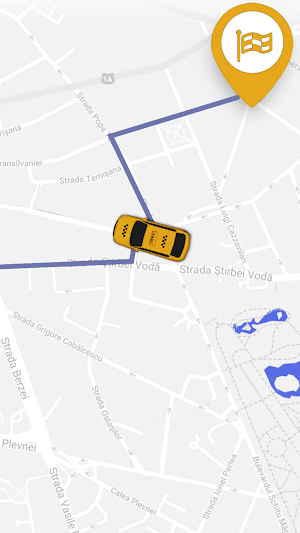 Vip Taxi Slobozia Sofer Screenshot 2