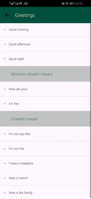 Common Lunda Phrases Screenshot 3