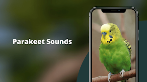 Parakeet Sounds Screenshot 0
