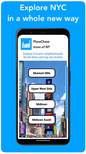 Icons of NY Screenshot 0