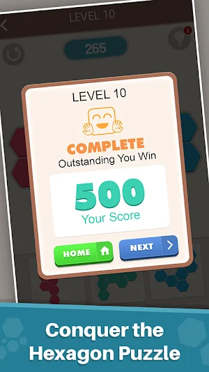 Hexagon Puzzle Screenshot 2