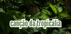 canção da tropicália Screenshot 1