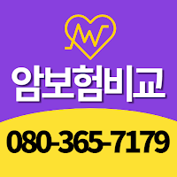 암보험비교