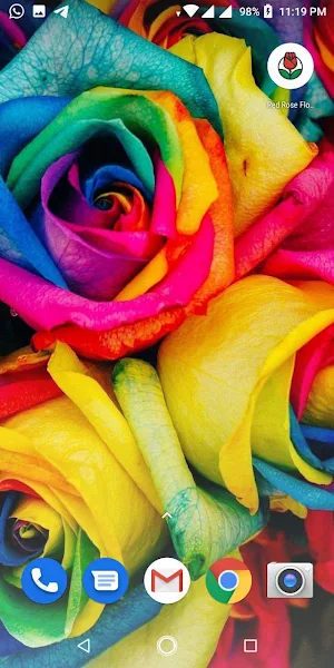 Red Rose Flowers Wallpapers HD Screenshot 1