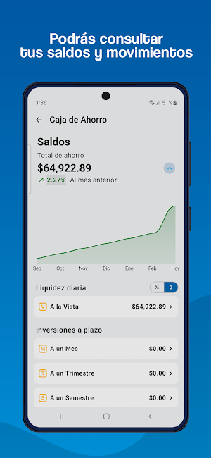 SRS - Caja de Ahorro Screenshot 0