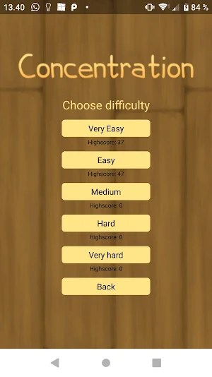 Concentration Screenshot 2