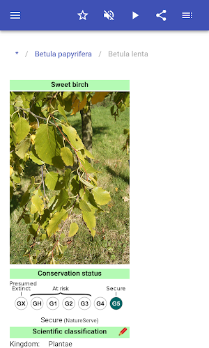 Trees Screenshot 2