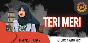 DJ Teri Meri Terbaru Full Bass Remix Hits + Bonus Screenshot 0