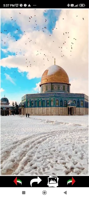 AlAqsa Wallpapers 2024 الأقصى Screenshot 0