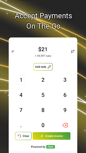 Flash Screenshot 3