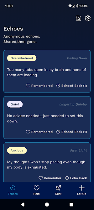 Echoes From The Ether Screenshot 0