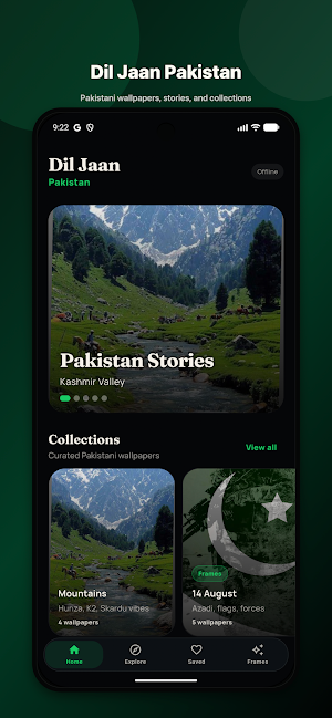 Dil Pakistan: Frames & Pics Screenshot 0