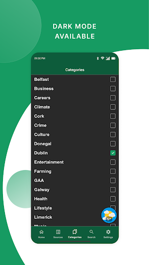 Ireland News Feed Screenshot 3